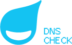 DNS Check